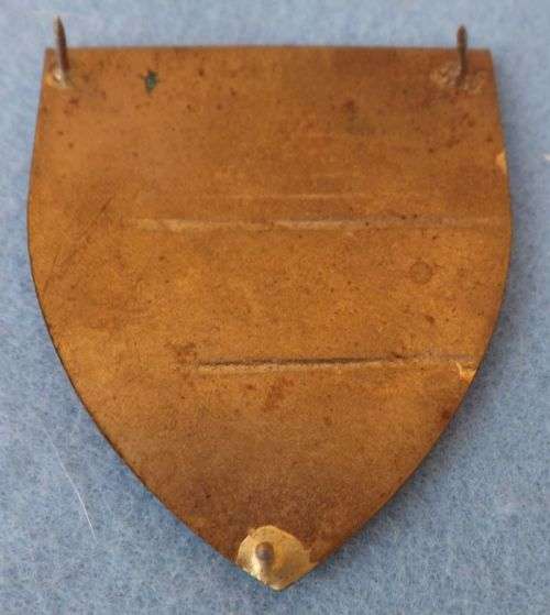 2 SAI Shoulder Flash  -- 3 Pins