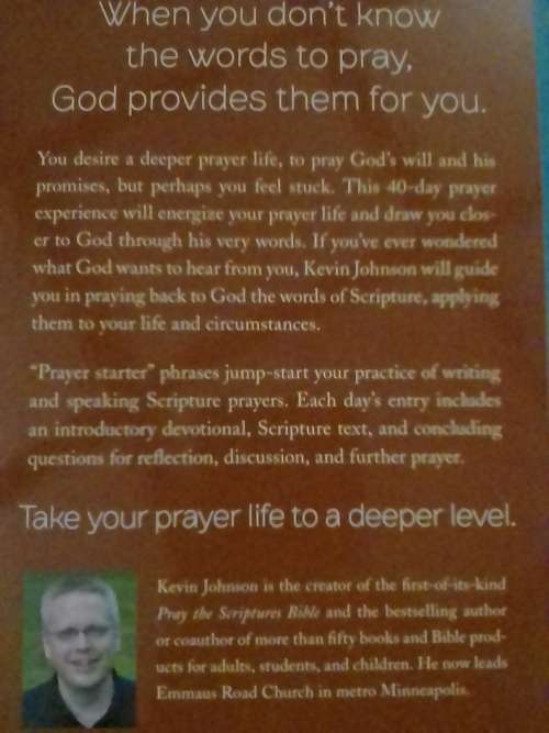 Pray the Scriptures, 40-day prayer experience by Kevin Johnson.