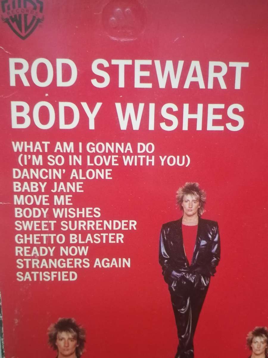 ROD STEWART (BODY WISHES) - VINYL IN VERY GOOD CONDITION - SEE BELOW FOR INFO.