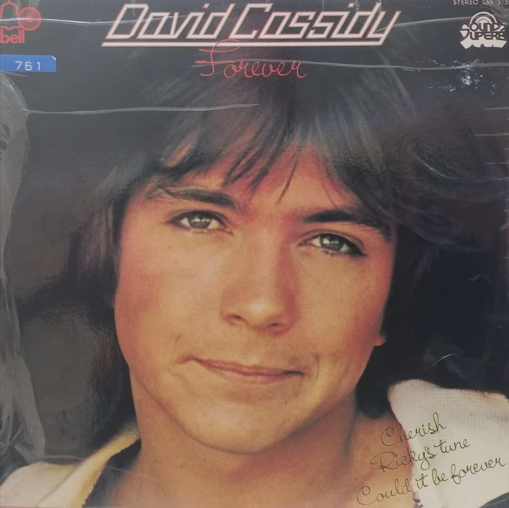 DAVID CASSIDY (FOREVER) - VINYL IN VERY GOOD COND. - SEE BELOW FOR INFO.