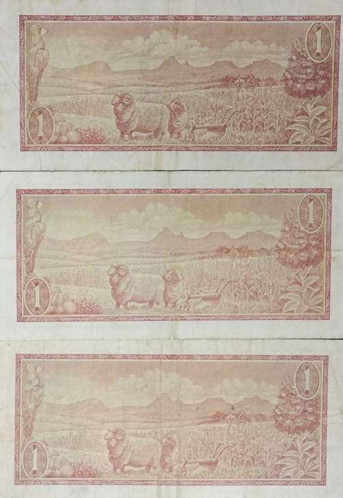 *Crazy R1 Start!!* T W de Jongh R1 Note Set