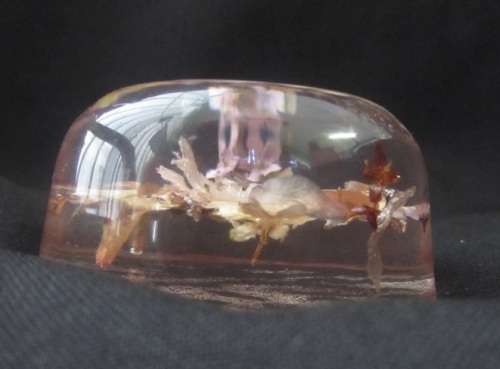 Beautiful flower paper weight