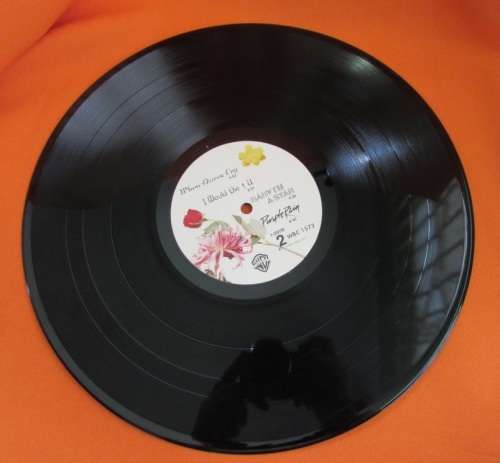 Prince and the Revolution - Purple Rain 12 " LP