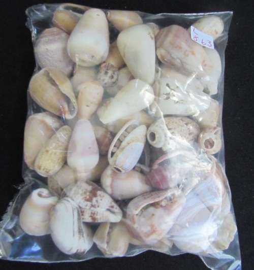 Packet of mixed sea shells