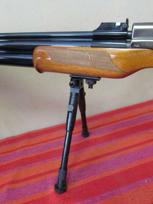 SUMATRA 5.5 MM *** BARGAIN OF 2017***