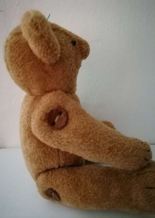 Bears - Basics Cape Town