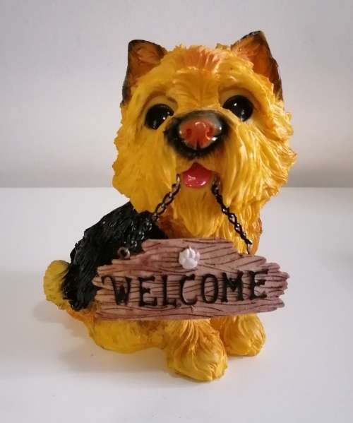 WELCOME YORKIE MONEY BOX