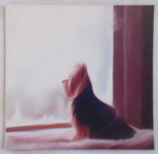 Digital Printed  Yorkie / Doggie Fridge magnet