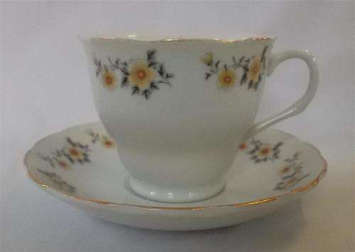 Collectable  Porcelain Tea cup and Saucer