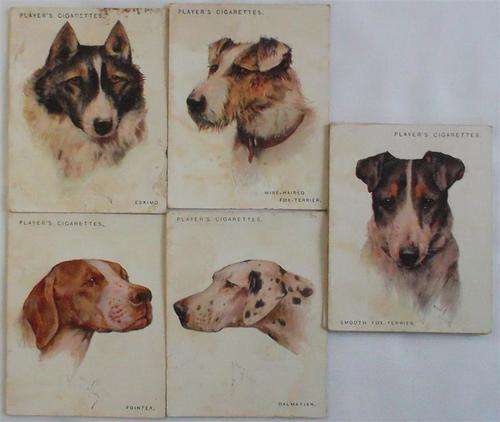 1927  Dogs   Series....Cigarette Cards
