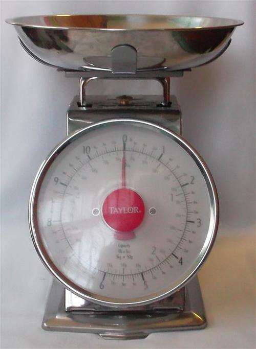 Stainless Steel Taylor Kitchen Scale