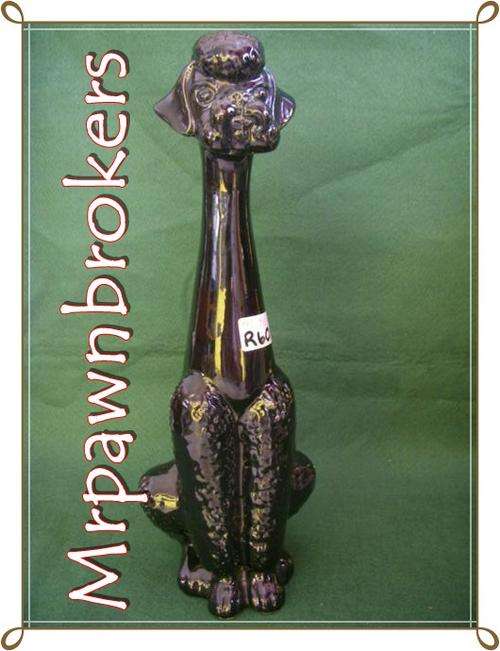 Stunning Black Poodle made in Holland