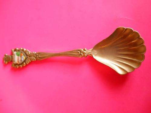 Natal Spa Sugar spoon