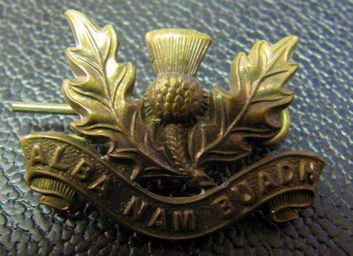 Transvaal Scottish Regiment badge - 'alba nam buadh' - As New!