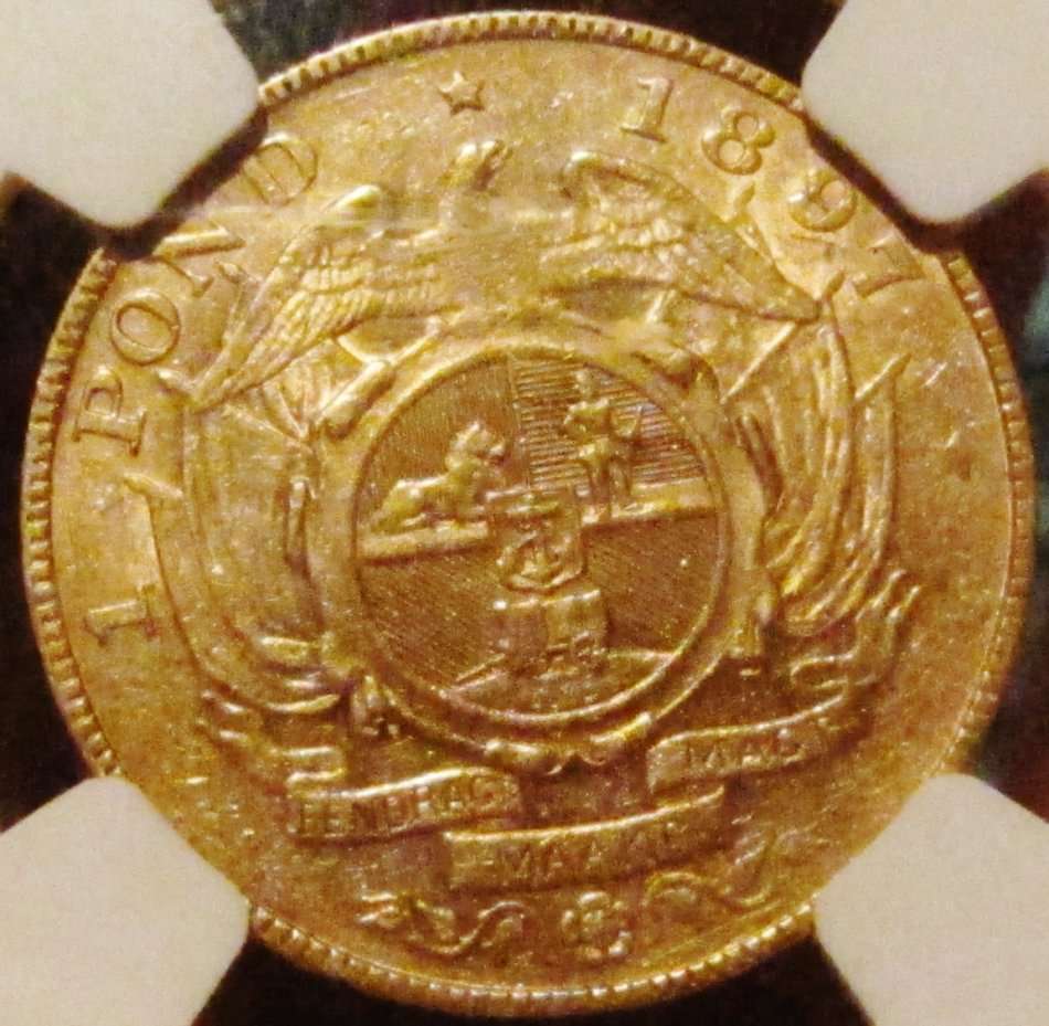 1897 Pond NGC Graded AU50-RARE KRUGER GOLD with GREAT LUSTRE!!