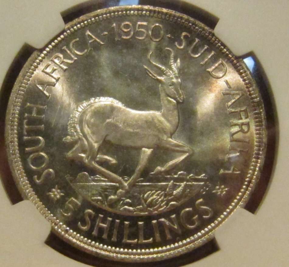 1950 Union of South Africa 5 Shillings NGC Graded PF65-Amazing Toning!!!