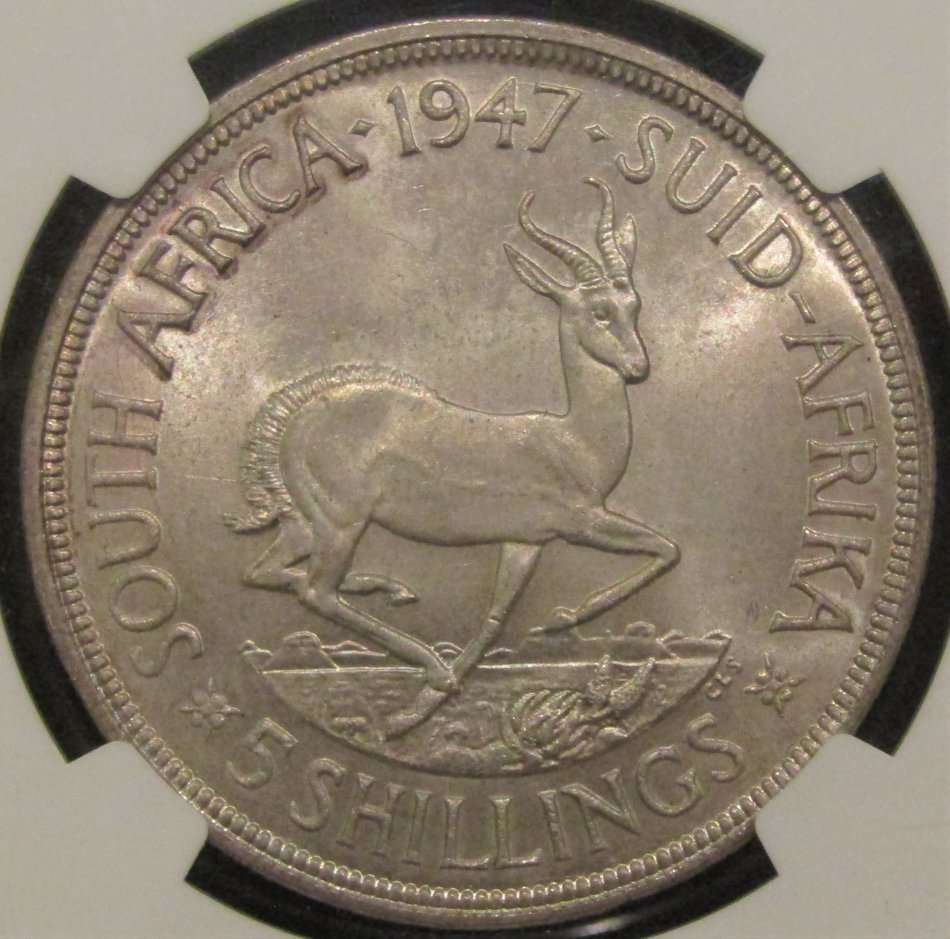 1947 Union of South Africa 5 Shillings NGC graded MS63-CRAZY R1 START!!!