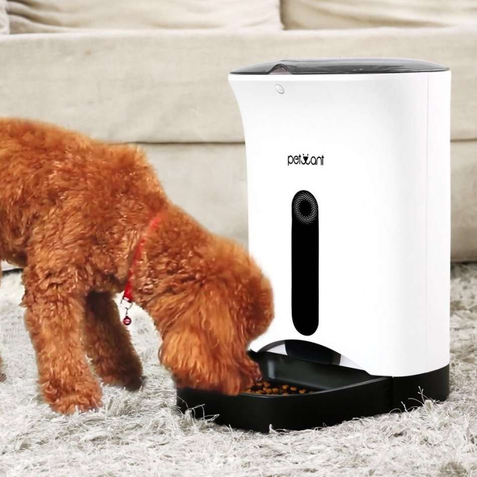 Petwant PF-102 Automatic Pet Feeder for Dogs & Cats 4.3L