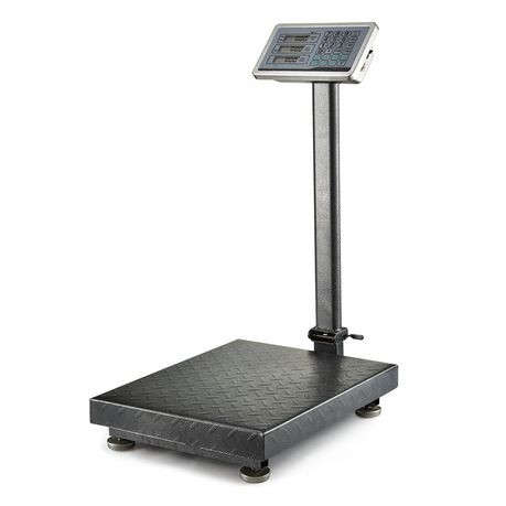 300kg Foldable Indistrial Weighing and Price Computing Scale