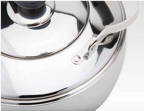 Stainless Steel Whistling Tea Kettle | 3L