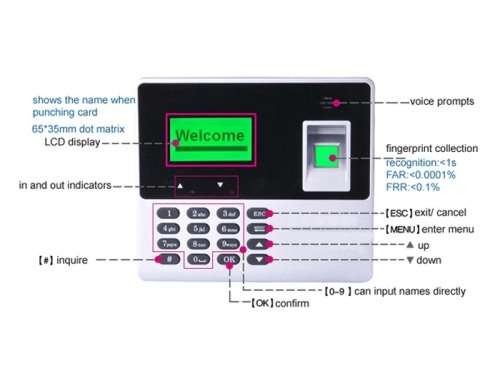 Fingerprint Time Attendance Machine System with Backup Battery and U-Disk Support