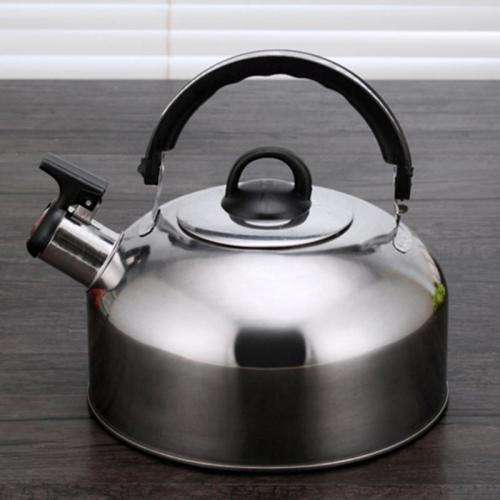 Stainless Steel Whistling Tea Kettle (2.5L) - Blue (Please Read)
