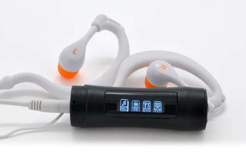 4GB Waterproof Underwater Sports MP3 Player with LCD Display and FM (IPX8) [Defective]