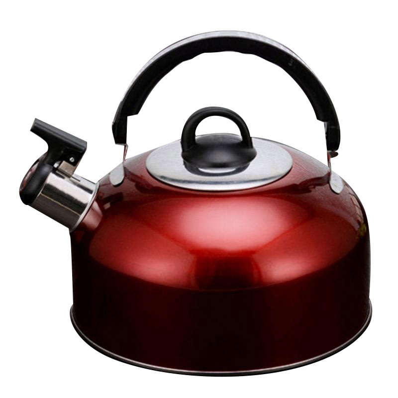 Stainless Steel Whistling Tea Kettle (3L)