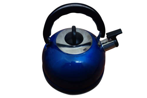 Stainless Steel Whistling Tea Kettle (2.5L) - Blue (Please Read)
