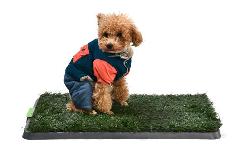 Zabava 3 Tier Pet Dog Puppy Indoor Training Artificial Grass Potty Patch Pad Rug Mat Tray
