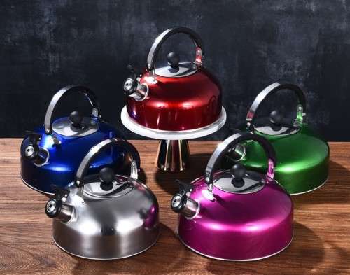 Stainless Steel Whistling Tea Kettle 2l - Silver (Please read)