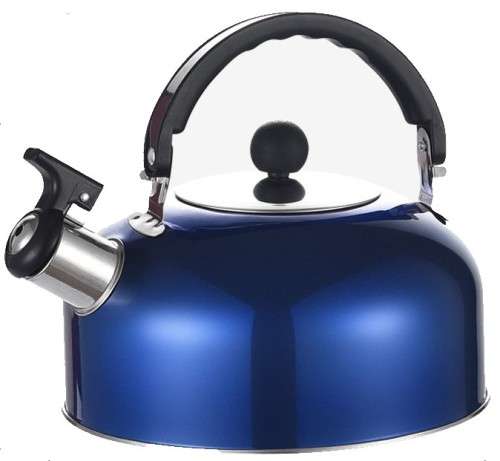 Stainless Steel Whistling Tea Kettle 2l - Blue (Second hand)