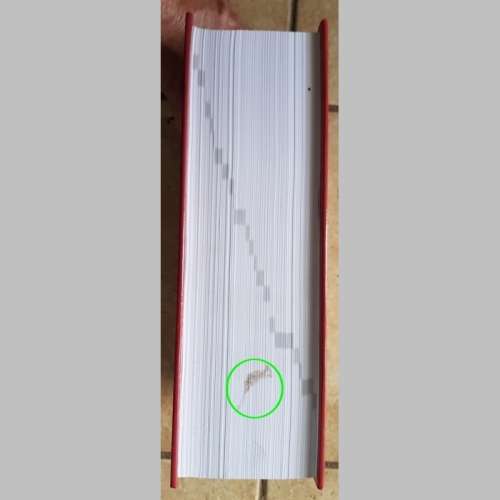 HAT - ATKV Gedenkuitgawe