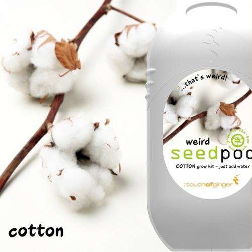 Seedpod Cotton  (Weird Seedpods - Touch of Ginger/Yuppie Gadgets)