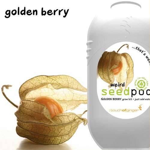 Seedpod Golden Berry (Cape Gooseberry) (Weird Seedpods - Touch of Ginger/Yuppie Gadgets)