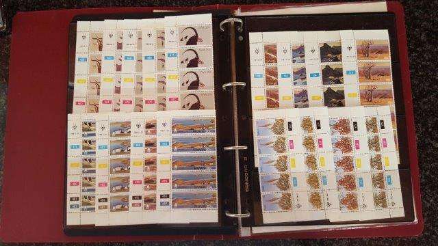 SWA Mint Control Sets