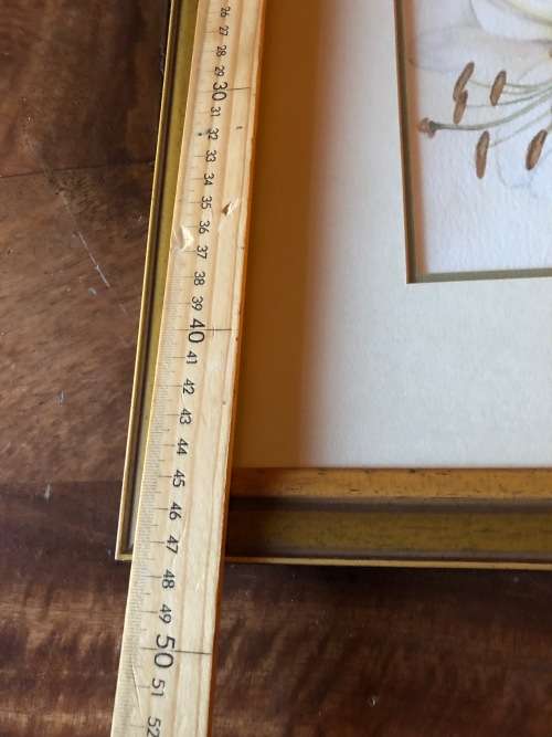 Large original soft flower water collour painting