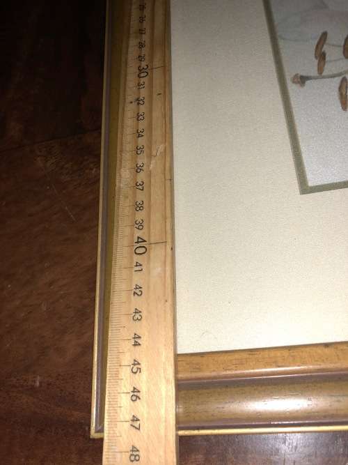 Large original soft flower water collour painting