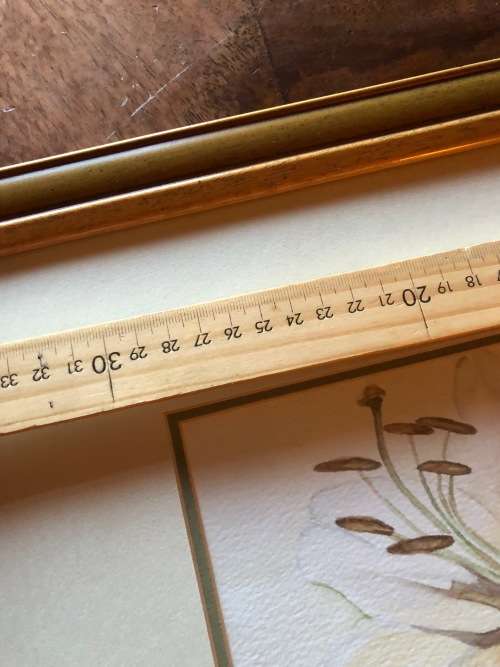 Large original soft flower water collour painting