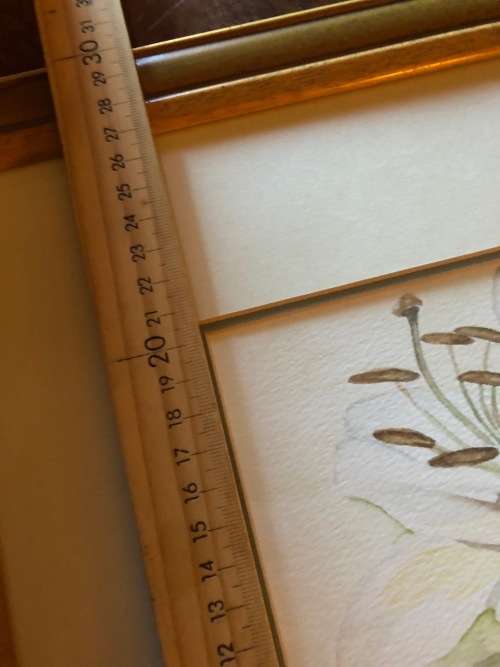 Large original soft flower water collour painting