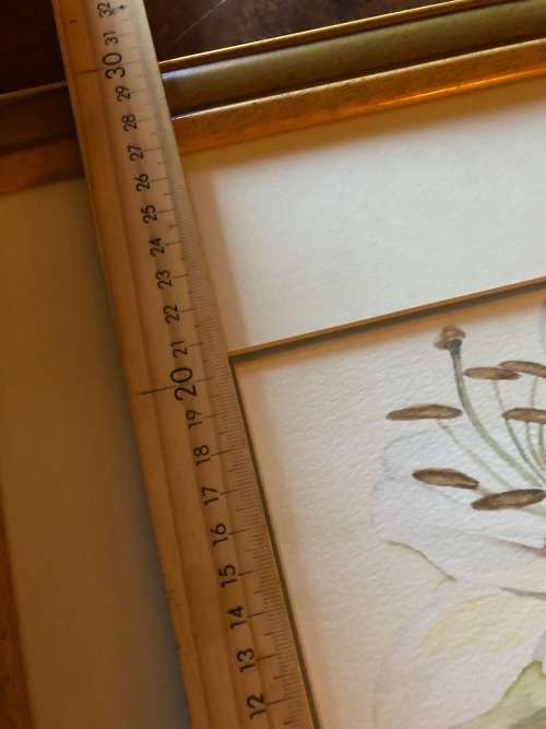 Large original soft flower water collour painting