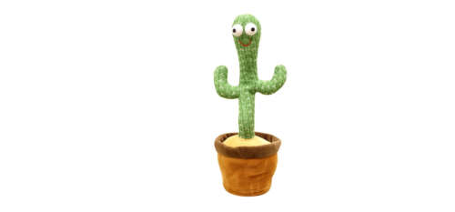 Dancing cactus