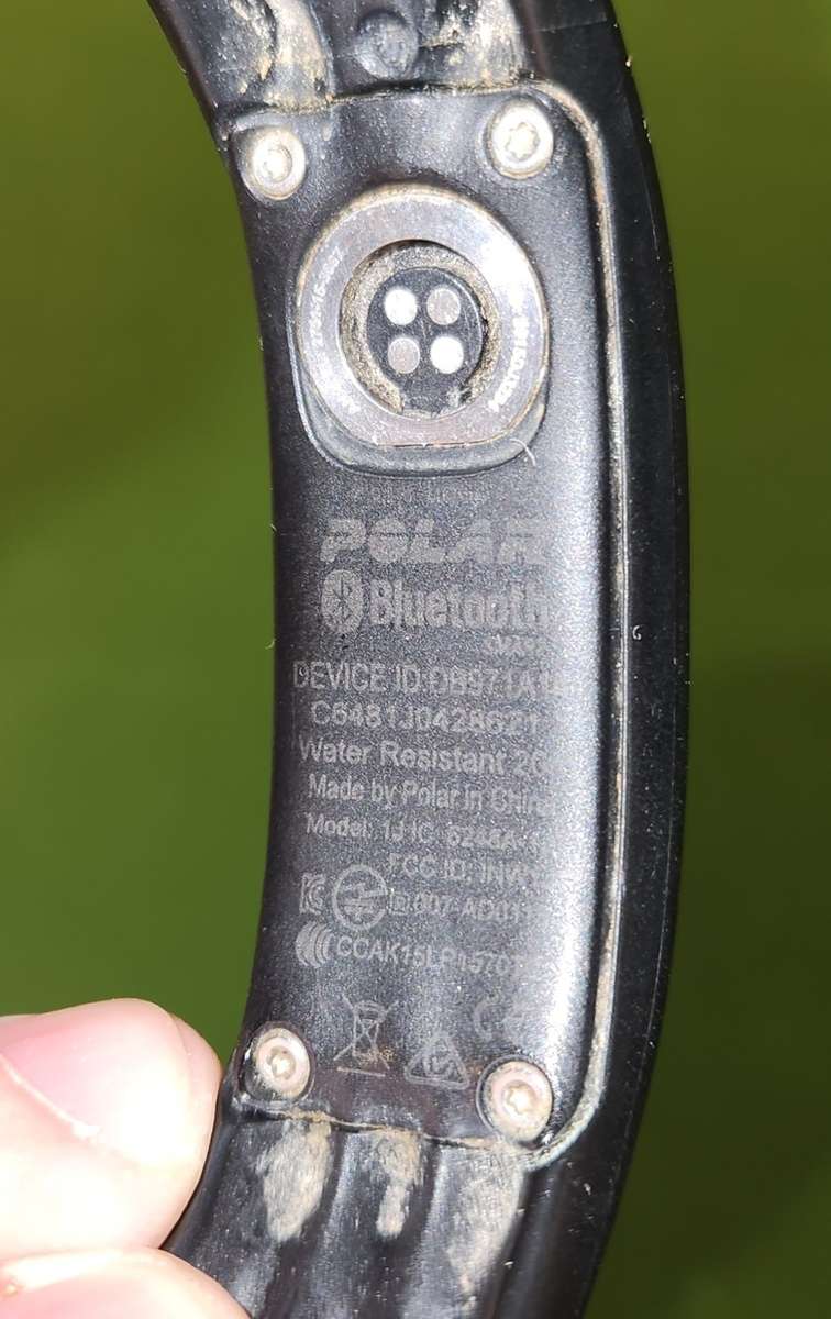 Polar Loop 2 Activity Tracker