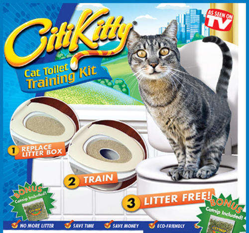 CITI KITTY