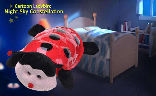 LADYBIRD NIGHT SKY CONSTELLATION