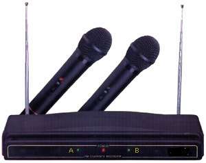 PROFESSIONAL WIRELESS MICROPHONE SET     KARAOKE TIME :)