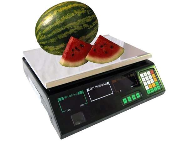 DIGITAL PRICING SCALE  MAX 40KG