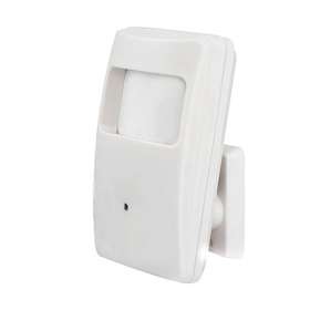 MOTION SENSOR CCD CAMERA