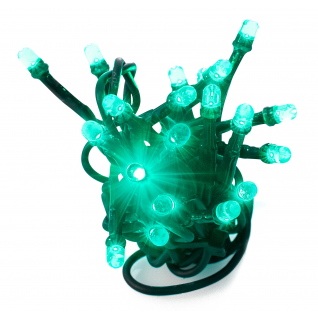 Brand New LED Christmas Lights