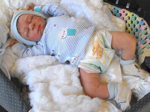 Hand Painted Reborn Baby Doll - Finn -  20inch LIMITED EDITION